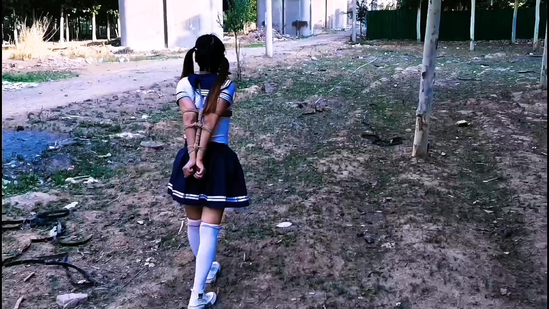 第二张图