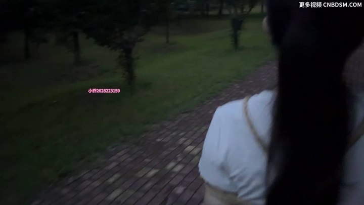 #小乔 一次户外公园的捆绑 全程玩具 几近崩溃.mp4