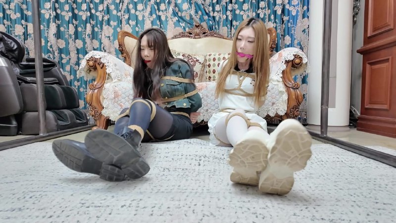 #枫叶工作室《彩虹与黑猫·新美人捕获·落入陷阱的侦探姐妹花》下载地址